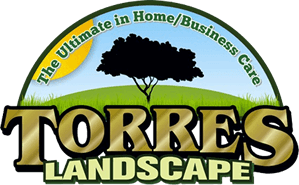 Main Logo